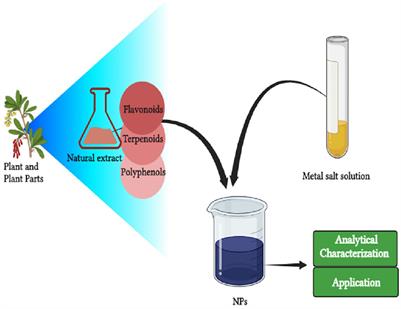 Recent insights into metallic nanoparticles in shelf-life extension of agrifoods: Properties, green synthesis, and major applications